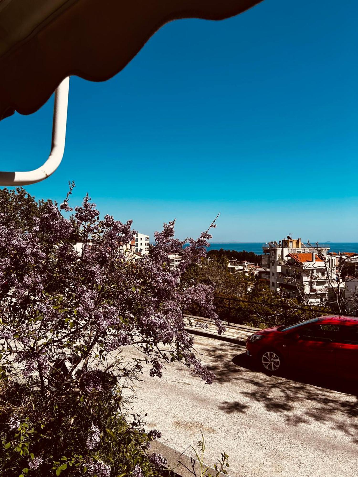 Jasmine Seaview Apartment
